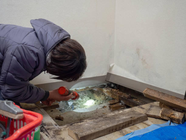 Mold Documentation for Insurance Claims in Magnet Cove, AR
