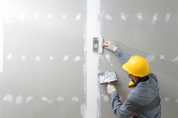 Best Post-Remediation Verification Testing  in Magnet Cove, AR