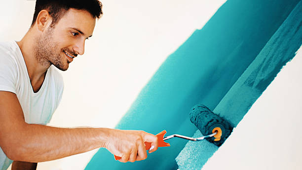 Best Mold Removal for HVAC Installations  in Magnet Cove, AR